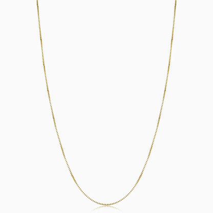 Collar Caja Bodega