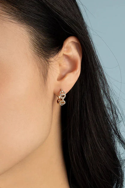 Pendientes Isla Marina
